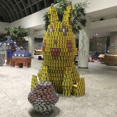 Pika-Can-Chu, Gotta Catch'Em All